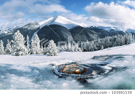 Snowy forest and snowy peaks on frozen lake. Snowy forest and snowy peaks on frozen lake. 103991539