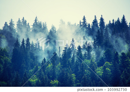 Misty mountain landscape 103992730