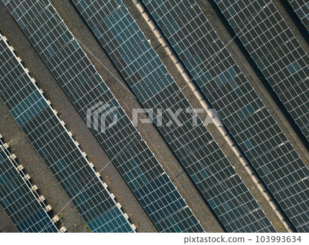 solar farm producing electricity, alternative sustainable energy source solar farm producing electricity, alternative sustainable energy source 103993634