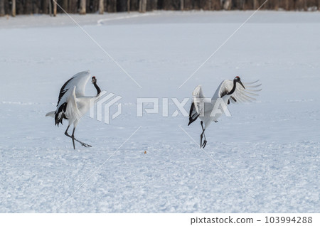 北海道東部冬季風景，日本起重機 103994288