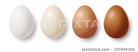 Vector 3d Realistic White and Brown Chicken Eggs Closeup Isolated. Chicken Egg Set. Vector Different Color Whole Eggs. Egg in Front, Top View 103994380