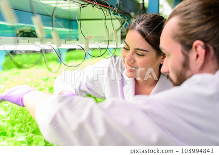 Researchers developing vegetable varieties at greenhouse agriculture 103994841