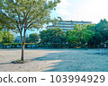 Residential area with park 103994929