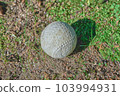 rolled ball 103994931