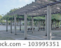 shade in the park 103995351