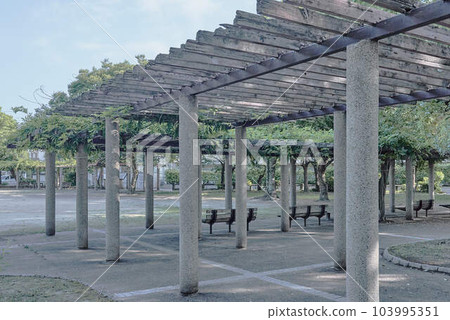 shade in the park shade in the park 103995351