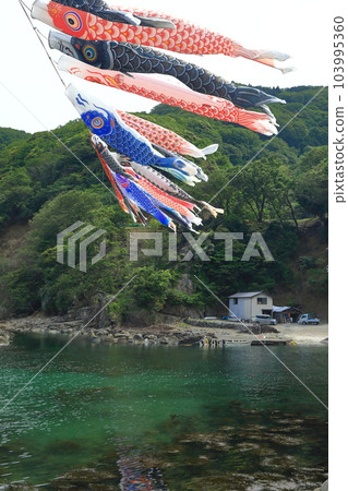 Carp streamers crossing the fishing village valley 103995360