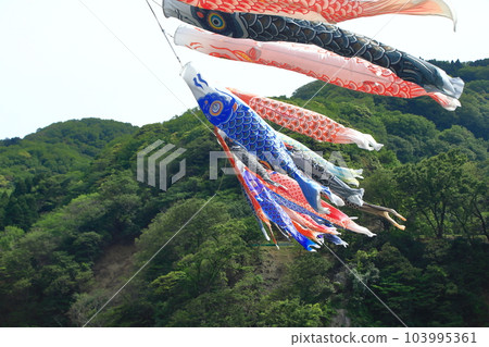 Carp streamers crossing the fishing village valley 103995361