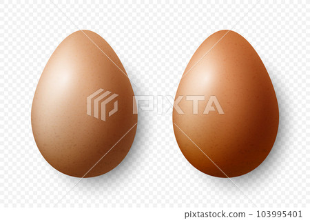 Vector 3d Realistic Brown Textured Chicken Eggs Closeup Isolated. Chicken Egg Set. Vector Different Color Whole Eggs. Egg in Front, Top View 103995401