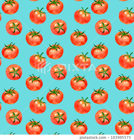 Red tomato seamless pattern Hand drawn watercolor illustration summer vegetable pattern Red tomato seamless pattern Hand drawn watercolor illustration summer vegetable pattern 103995573