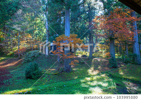 Untoan, the view from the main hall, the season of autumn leaves, Minamiuonuma City, Niigata Prefecture Untoan, the view from the main hall, the season of autumn leaves, Minamiuonuma City, Niigata Prefecture 103995880
