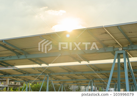 Photovoltaic solar panels with sunset at solar cell farm field 103996079