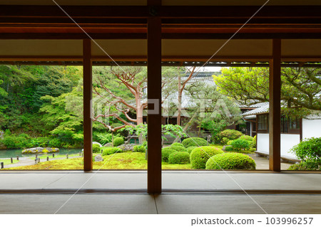 Shoren-in garden, young leaves and fresh greenery 103996257