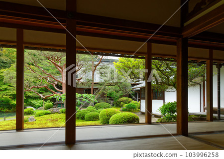 Shoren-in garden, young leaves and fresh greenery Shoren-in garden, young leaves and fresh greenery 103996258