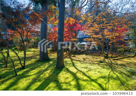 Untoan 從接待大廳看到的景色 秋天的風景 新潟縣南魚沼市 103996413