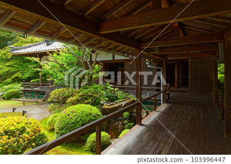 Shoren-in Ichimonji 洗臉盆 嫩葉和新鮮的綠色植物 Shoren-in Ichimonji 洗臉盆 嫩葉和新鮮的綠色植物 103996447
