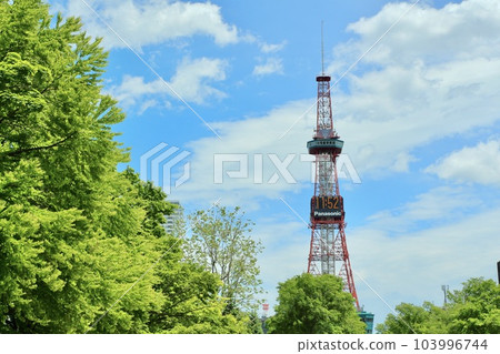 Early summer sky and Sapporo TV tower 103996744