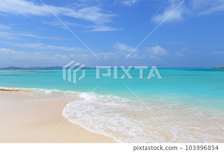 美麗的海景 103996854