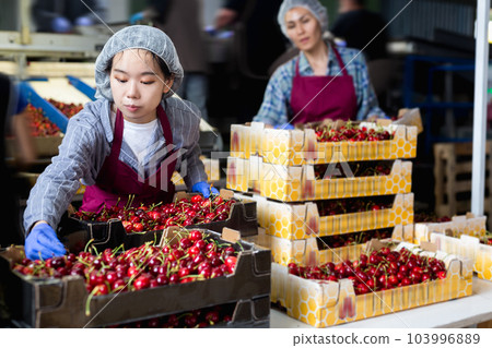 Girl and woman are working in warehouse Girl and woman are working in warehouse 103996889