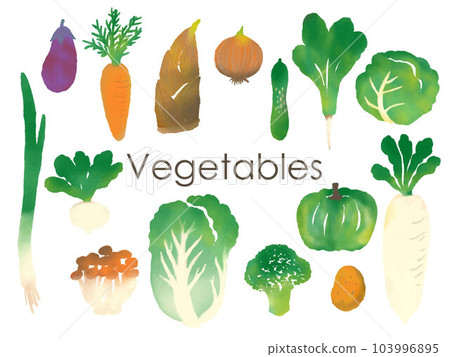 Watercolor style vegetable illustration set 103996895