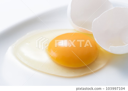 Raw egg  103997104