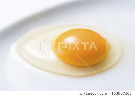 Raw egg  103997105