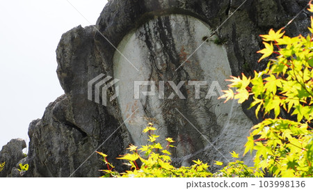 Iwasu Park, Ogaki City, Gifu Prefecture 103998136