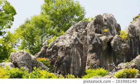 岐阜縣大垣市岩須公園 岐阜縣大垣市岩須公園 103998140