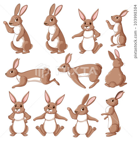 Cute rabbit cartoon character collection Cute rabbit cartoon character collection 103998384