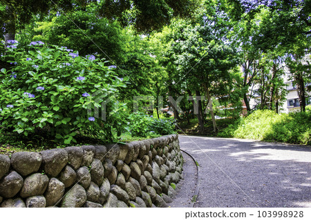 東京正門的前岩崎亭花園 Bashamichi 103998928