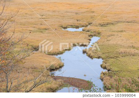 Kottaro Wetland Observatory "Autumn Hokkaido" 103999004