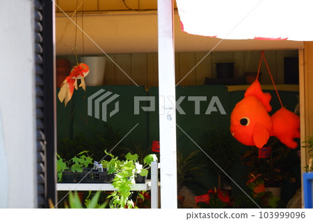 金魚店 金魚店 103999096