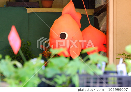 金魚店 103999097