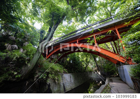 夏天的等力溪谷高爾夫球橋 夏天的等力溪谷高爾夫球橋 103999183