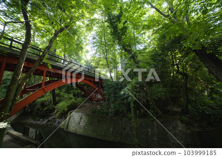 Golf bridge in Todoroki Valley in summer 103999185