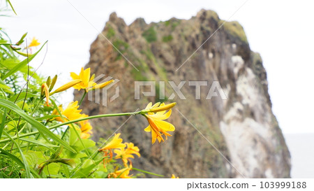 Hokkaido Shakotan Shimamui Coast Hokkaido Shakotan Shimamui Coast 103999188