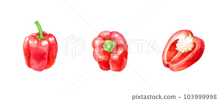 Set of red paprika Summer vegetable hand-painted watercolor illustration material collection 103999998