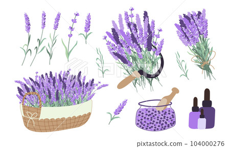 Harvesting lavender collection. Basket with lavender, oil, bouquet, sickle, salt Harvesting lavender collection. Basket with lavender, oil, bouquet, sickle, salt 104000276