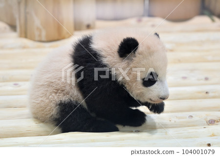 119 天大的湯濱 104001079