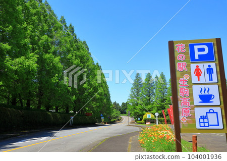 花之站生駒高原 104001936