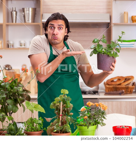 Young handsome man cultivating flowers at home 104002254