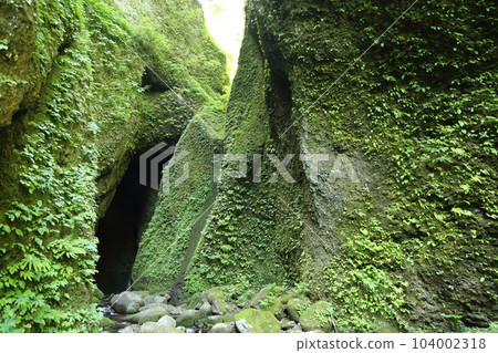 To the cave of Shiwagara Falls (Hyogo Prefecture Designated Place of Scenic Beauty) / Komatagawa Valley [Hyogo Prefecture Shin-Onsen Town Maritime San'in Kaigan Geopark] 104002318