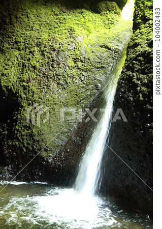Shiwagara瀑布（兵庫縣指定名勝）/駒川溪谷[兵庫縣新溫泉町海洋/山陰海岸地質公園] 104002483