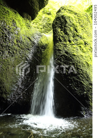 Shiwagara瀑布（兵庫縣指定名勝）/駒川溪谷[兵庫縣新溫泉町海洋/山陰海岸地質公園] 104002495
