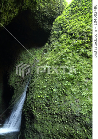 Shiwagara瀑布（兵庫縣指定名勝）/駒川溪谷[兵庫縣新溫泉町海洋/山陰海岸地質公園] 104002496