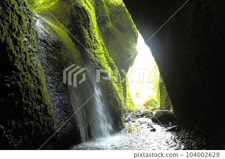 Shiwagara瀑布（兵庫縣指定名勝）/駒川溪谷[兵庫縣新溫泉町海洋/山陰海岸地質公園] 104002629