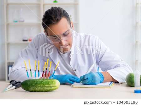 Male nutrition expert testing vegetables in lab 104003190