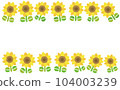 sunflower horizontal sunflower horizontal 104003239