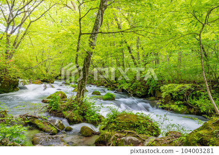 Oirase Valley in early spring Sanran no Nagare Oirase Valley in early spring Sanran no Nagare 104003281