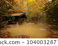Hot springs, open-air baths, autumn leaves in nature 104003287
